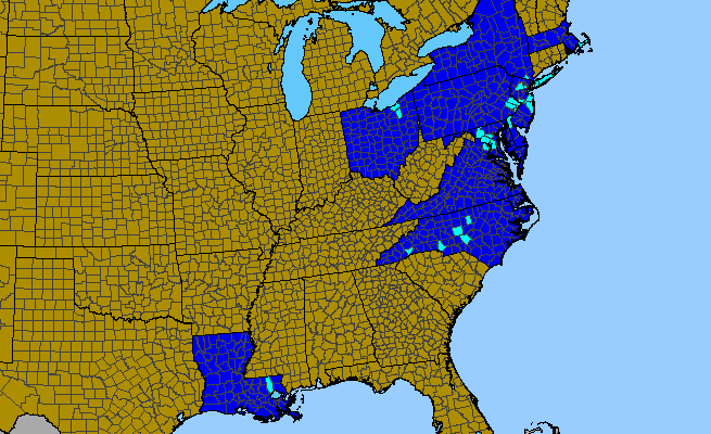 The range of Ilex crenata